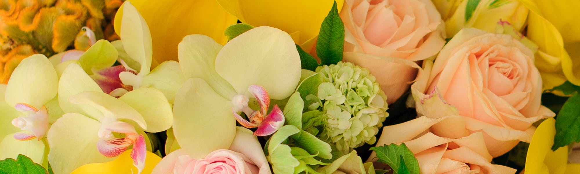 Fort Worth Florist & Fort Worth SameDay Flower Delivery Gordon