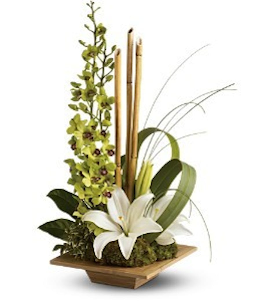 Bamboo and white dendrobium orchids in a wooden dish vase.