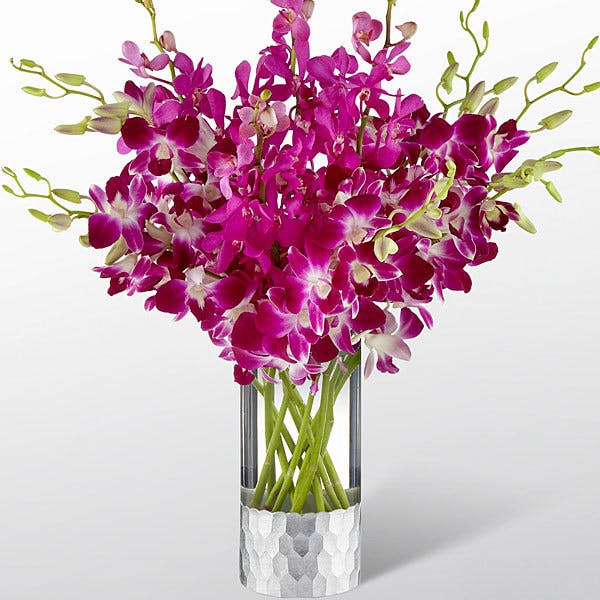 Fort Worth Flower Delivery | Vera Wang Orchid Bouquet ...