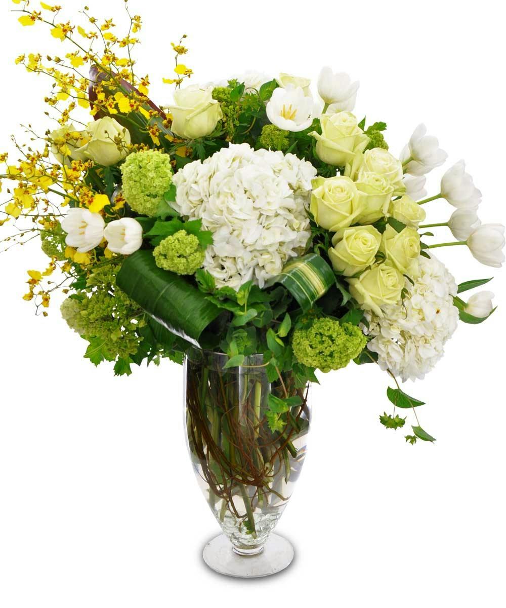 Majesty Flowers SameDay Flower Delivery Fort Worth