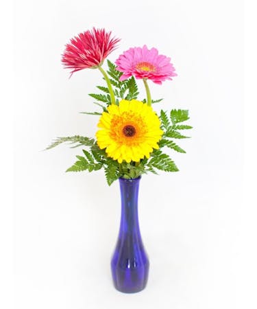 Bright Blooms Bud Vase Local Fort Worth Flower Delivery