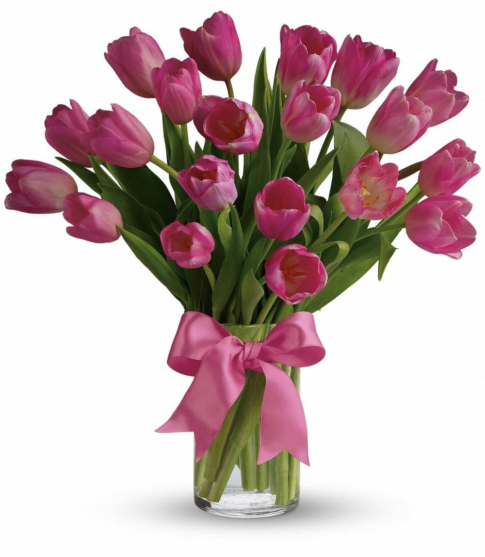 Tulip Delight Spring Flower Delivery Fort Worth TX