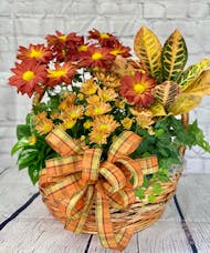 Fall Garden Basket